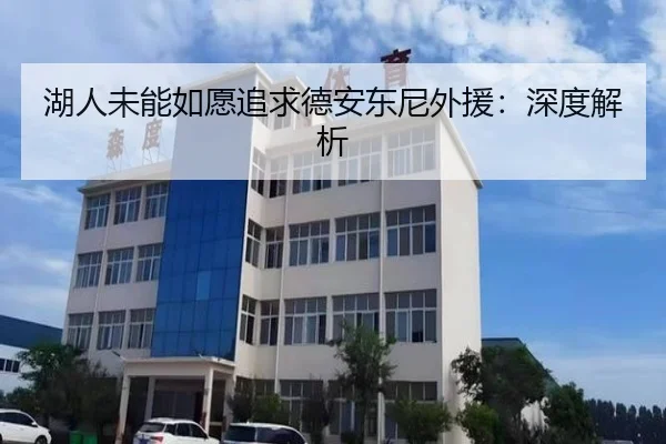 湖人未能如愿追求德安东尼外援：深度解析
